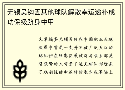 无锡吴钩因其他球队解散幸运递补成功保级跻身中甲