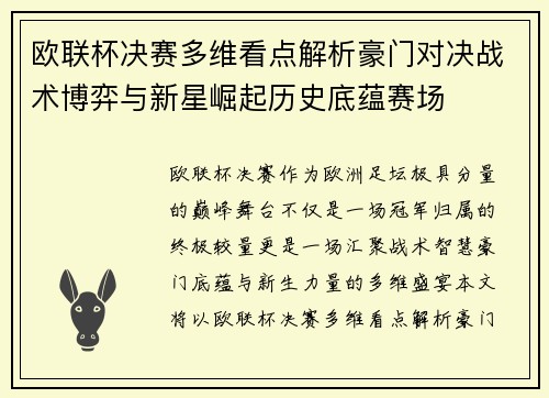 欧联杯决赛多维看点解析豪门对决战术博弈与新星崛起历史底蕴赛场